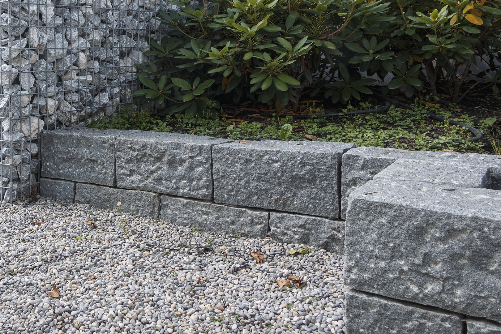 Castle Rock Tahiti Blue Classic