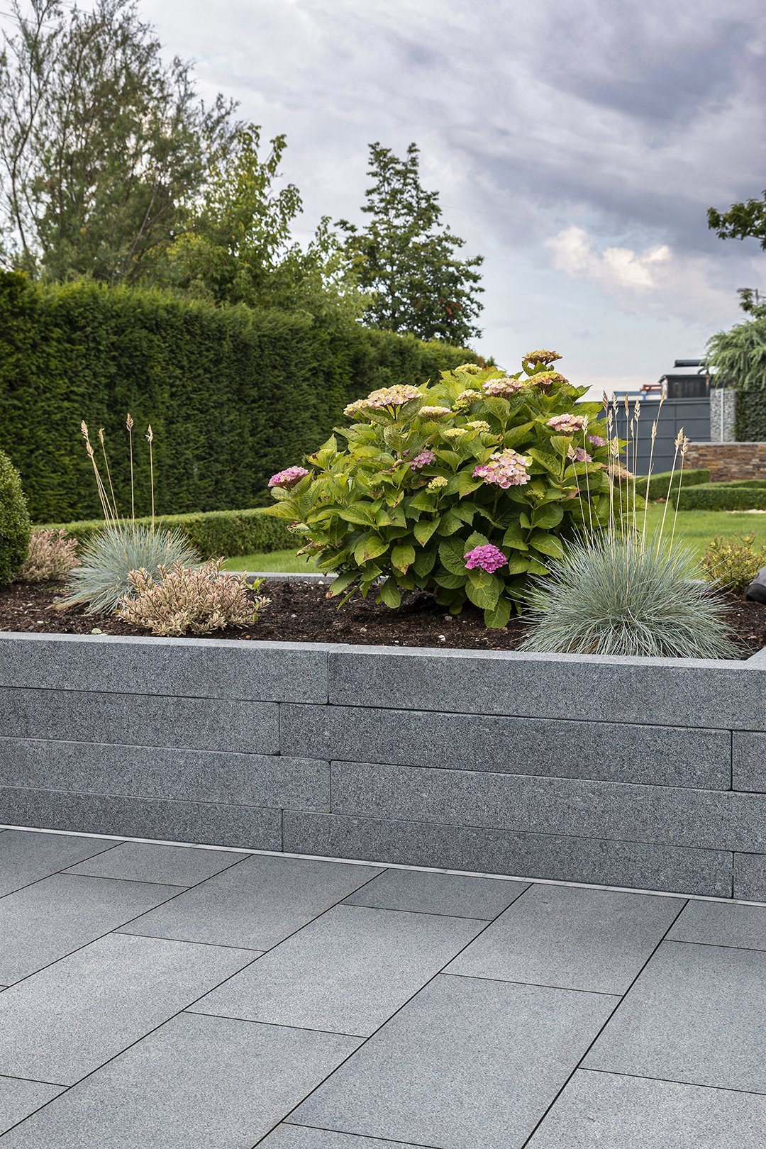 Palisade Tahiti Blue Piazzo